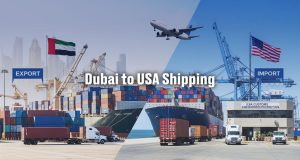 Dubai to USA Shipping Services: Import & Export from UAE Made Easy - Sea Wings Logistics LLC