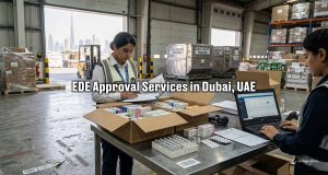 EDE Approval for Importing & Exporting Services in Dubai, UAE | Sea Wings Logistics LLC