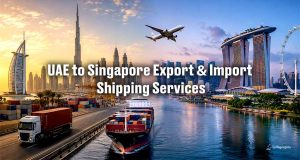 Dubai, UAE to Singapore Export & Import Shipping Services | Sea Wings Logistics LLC