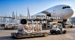 Standard Air Freight Services in Dubai, UAE | Sea Wings